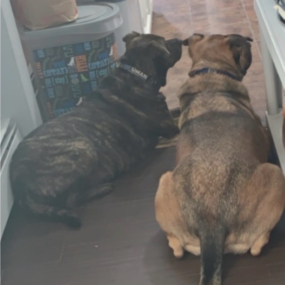 Meet your Posher, Jm